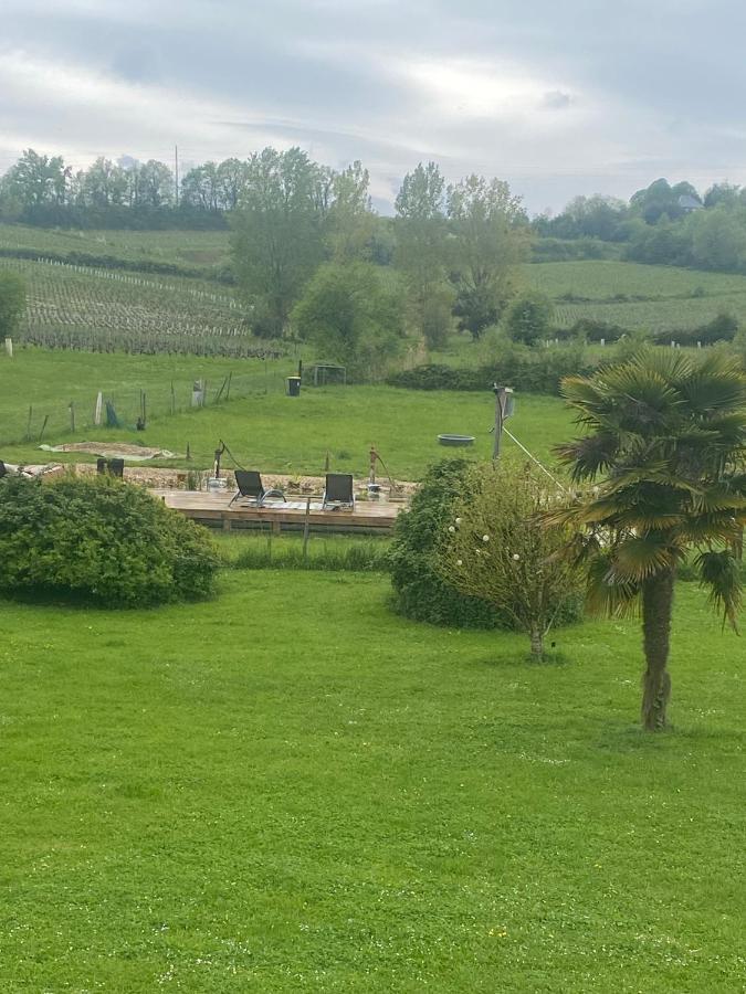 Suite Campagnarde Pres Bordeaux, Vue Sur Les Vignes Au Chateau Camponac Bourg-sur-Gironde 外观 照片